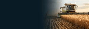 Bottom banner 1