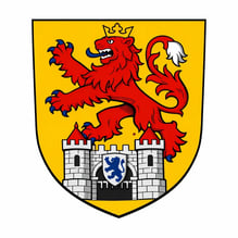 Wappen Braunschweig: Burg, Löwe auf gelben Schild